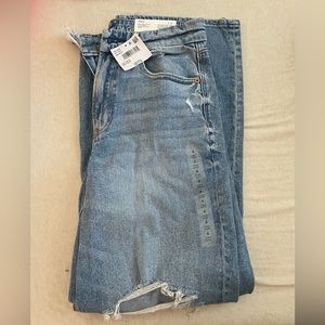 American Eagle Curvy Baggy Jeans High Rise